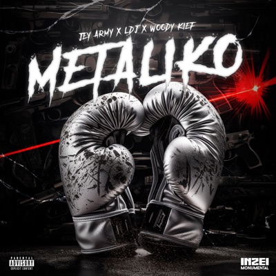 MetaliKo - Single