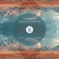 One Last Time - Single - Fleanger, Tamer ElDerini & Tibetania