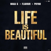 Life is Beautiful (feat. Flavour & Phyno) - Single - Waga G