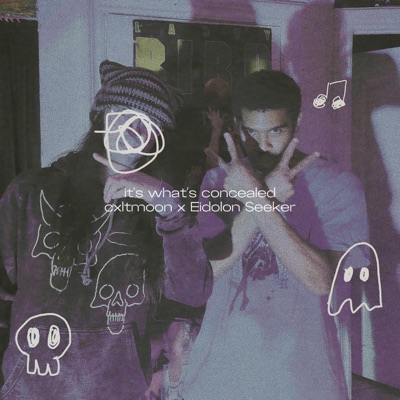 it's what's concealed - Single