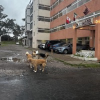 hop that fence - Single - trevmas