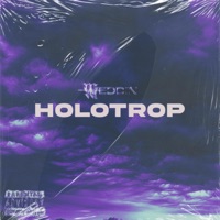 HOLOTROP - Single - WEDDIN