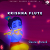 Krishna Flute - Gaurav Pareek, Narayan Pareek, Gaurav Pandiya & Komal Pareek