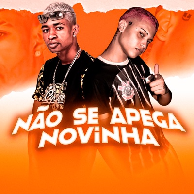 Não Se Apega Novinha - Single