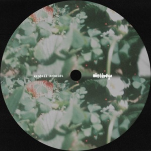 Shattered - Single