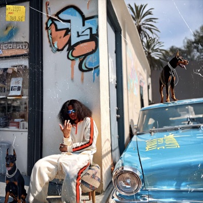 Thuggish Ruggish - Single