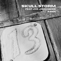 Skull Storm (feat. John Hicks, Diamondback Kid & JXE) - Single - The 13