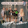 Hallo kleine Maus - Die Draufgänger & Hannah