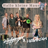 Hallo kleine Maus - Die Draufgänger &amp; Hannah Cover Art