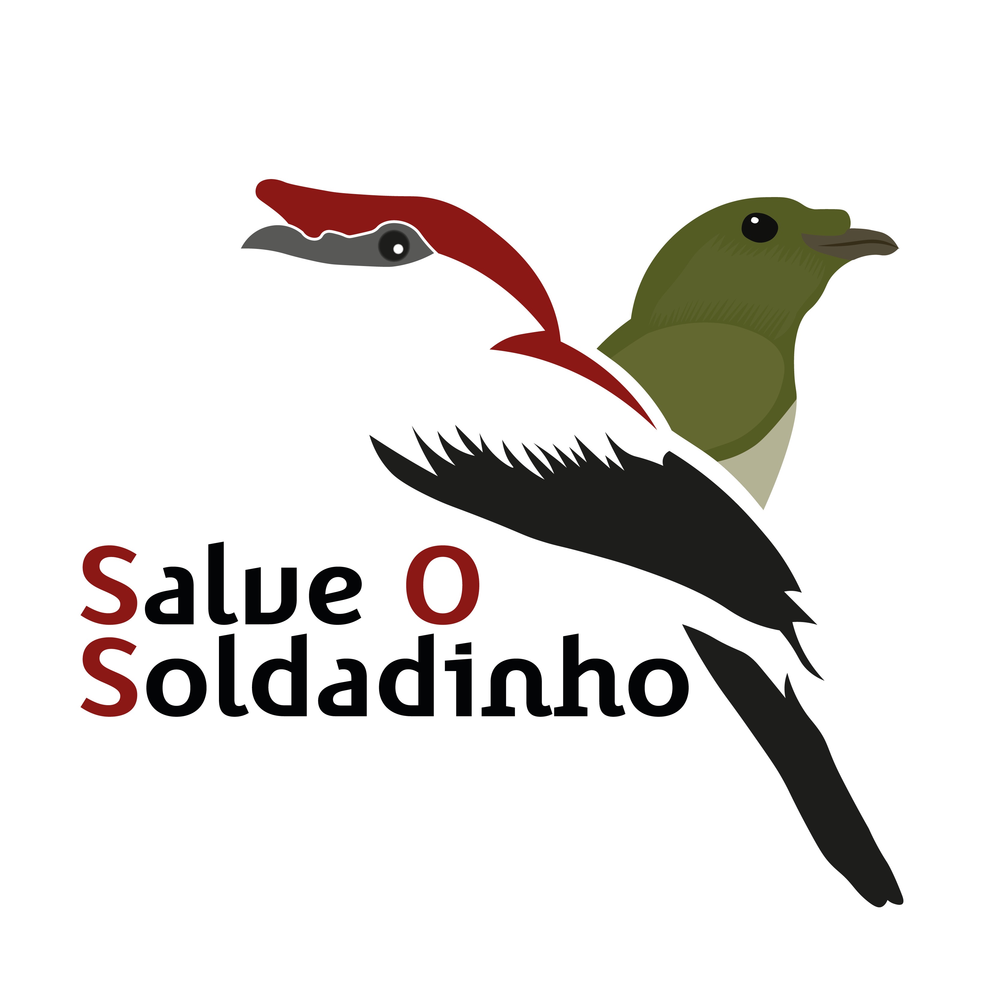 Salve o Soldadinho - Single