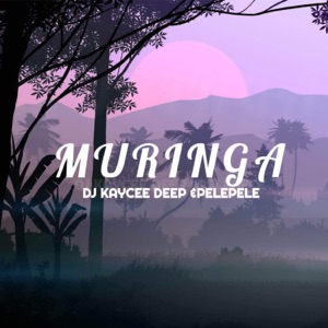 Muringa