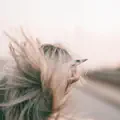 Good Girl