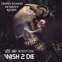 WISH 2 DIE (feat. TrippyThaKid) - Single - DJ MATEY & kendy