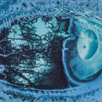 REMEMBER, YOU HAVE TO DIE