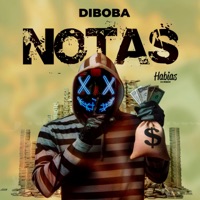 Notas - Single - Diboba & Dj Habias