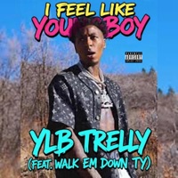 I Feel Like YoungBoy (feat. YLB TRelly) - Single - Walk Em Down Ty