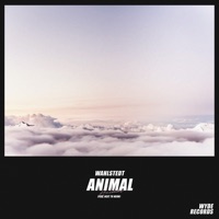 Animal - Single - Wahlstedt & Next To Neon