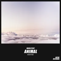 Animal — Wahlstedt, Next to Neon