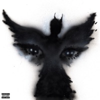 Grit & Grace - Rich Amiri