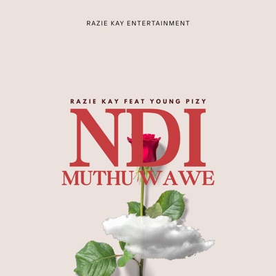 Ndimuthu wawe (feat. Young pizy) - Single