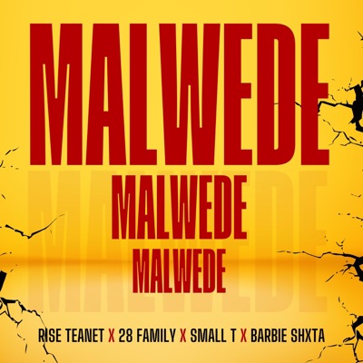 Malwede (feat. 28 Family, Small T Bad Company & Barbie Shxtaa) - Single
