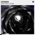 Where Roses Bloom