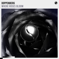 Where Roses Bloom