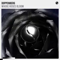 Where Roses Bloom