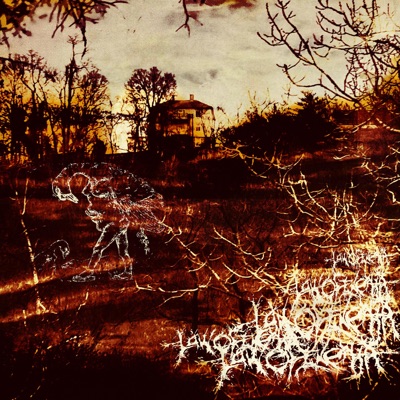 Law of Inertia - My Bloody Beloved