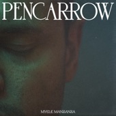 Pencarrow (feat. Matthew Sheens & Matt Penman) artwork