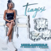 Tiayisi (feat. Gondi Boy & Otildah Sono) - Single - Unhlamurile