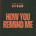 How You Remind Me