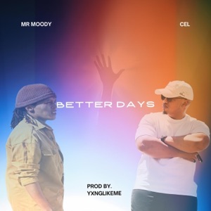 Better Days (feat. Mr Moody & Cel) - Single