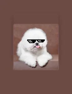 mr memeを聴いたり、ミュージックビデオを鑑賞したり、経歴やツアー日程などを確認したりしましょう！