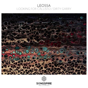 Looking for Callisto / Dirty Garry - Single