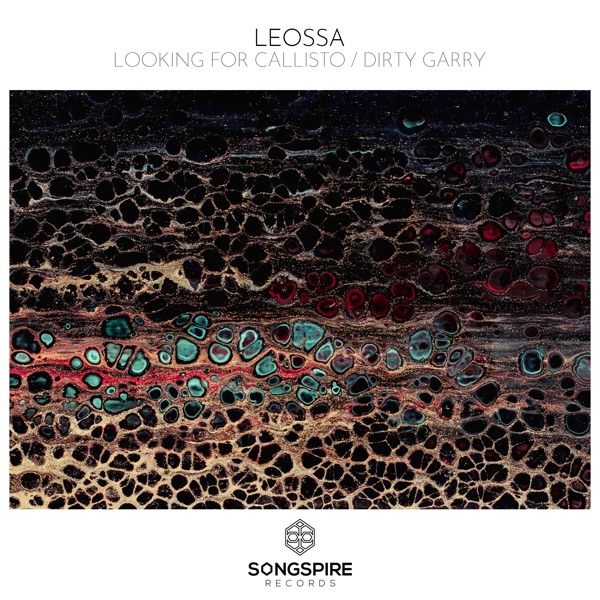 Looking for Callisto / Dirty Garry - Single
