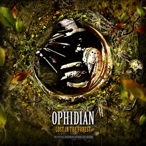 Lost in the Forest - Single