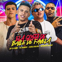 Ela Gosta de Baile de Favela (feat. DH A+D1000) - Single - Mc Daninho, Danilo Bolado & Gordinho Bolado