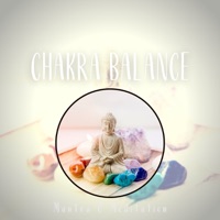 Chakra Balance: Holistic Healing Vibes - Mantra & Meditation