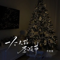 一个人的圣诞节 - Single - Xingjie Su
