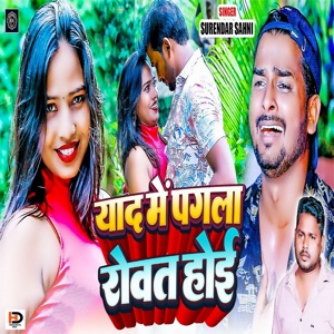 Yaad Me Pagla Rowat Hoi