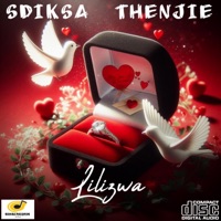 Lilizwa (feat. Thenjie) - Single - Sdiksa