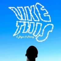 Like This (feat. Peeray) - Single - C bryan