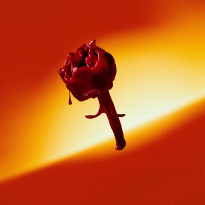 Burn Slowly - Single