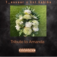 Tribute to Amanda (feat. Kst kabiba) - Single - T_esvaar