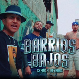 Barrios Bajos Skeder & Reyr664