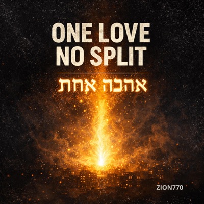 One love, No split - Single