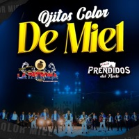 Ojitos Color De Miel (feat. Grupo Prendidos Del Norte) - Single - Banda La Patrona de Acatlan & La B De Alto Mando