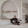 In odaia mea