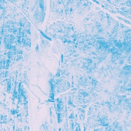 Vertigo Xander William